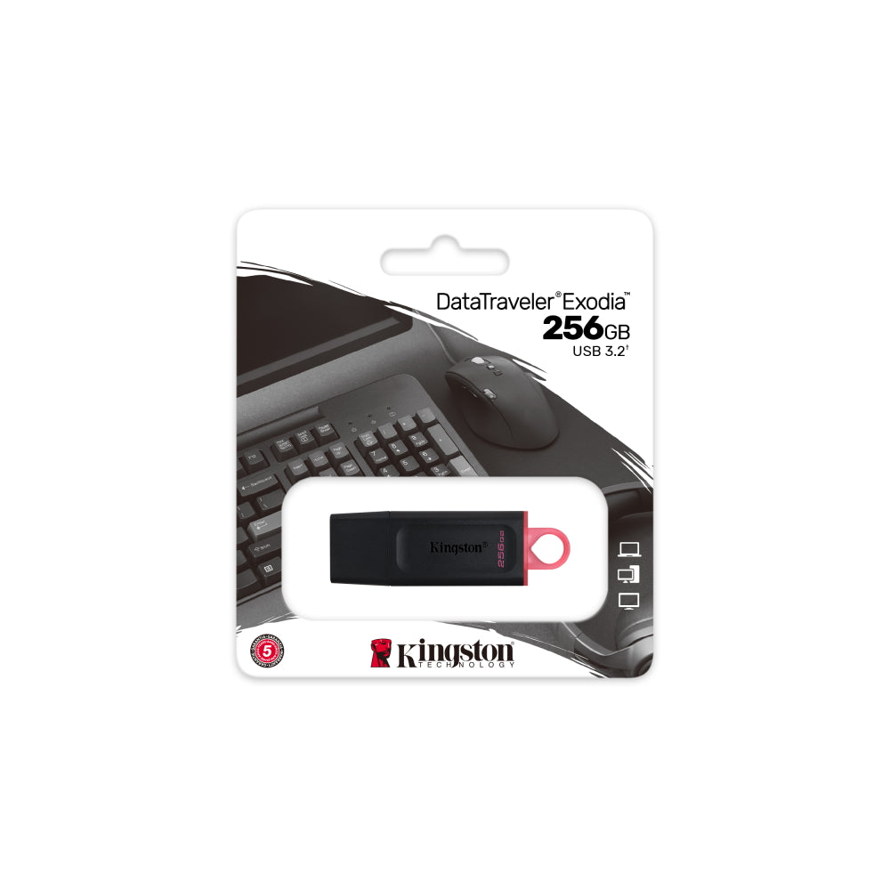 PENDRIVE KINGSTON 256 GB USB 3.2