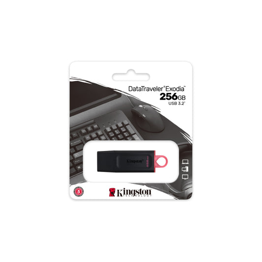 PENDRIVE KINGSTON 256 GB USB 3.2